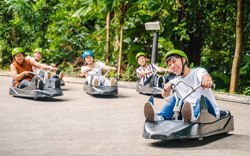 Skyline Luge KL, Skyride & Hyfly Tickets + Optional Transfers Image 2