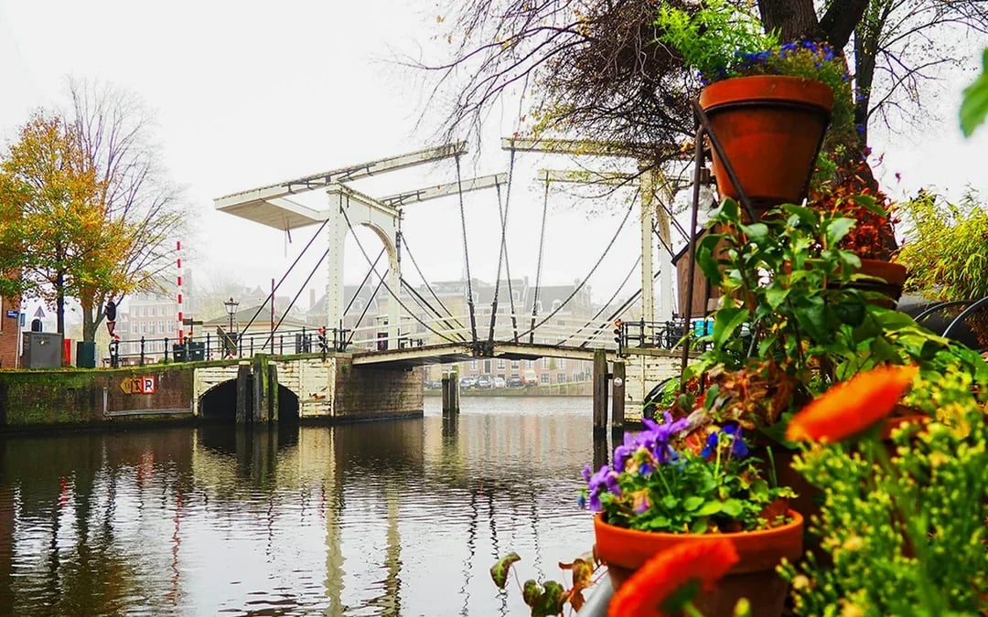 Small-Group Amsterdam Hidden Gems Walking Tour Image 8