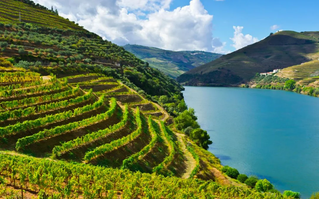 Small-Group Douro Valley Guided Tour with 1-Hour Pinhão Cruise, Traditional Lunch & Wine Tastings Image 5