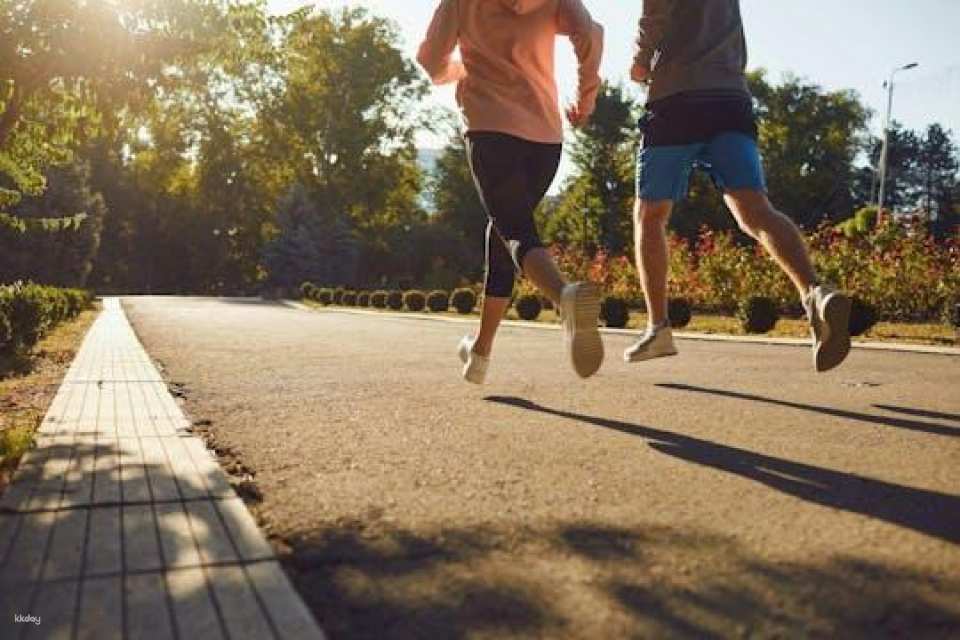 Small-group guided running city tour in Hamburg city centre
