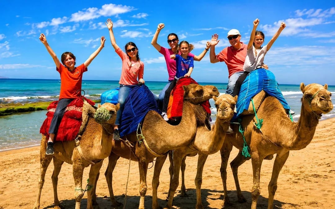 Small-Group Tangier Tour to Cap Spartel & Hercules Caves With Camel Ride Image 1