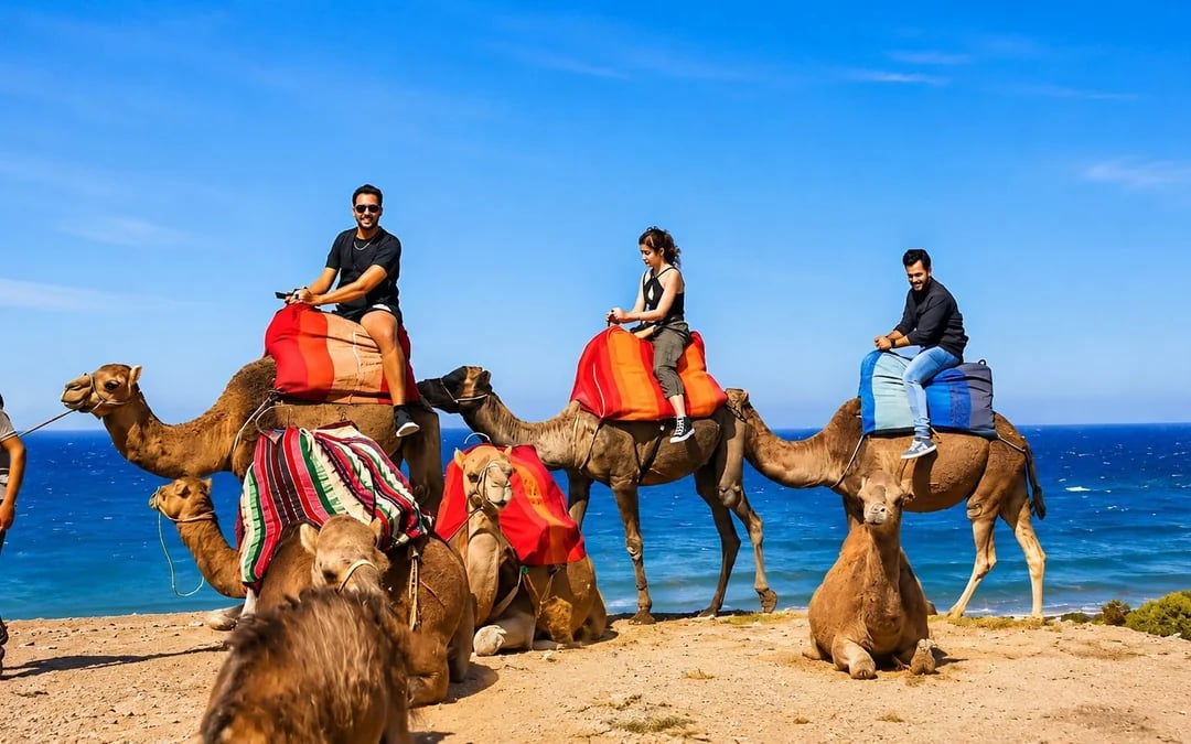 Small-Group Tangier Tour to Cap Spartel & Hercules Caves With Camel Ride Image 2