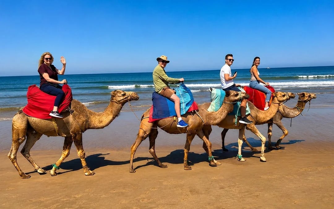 Small-Group Tangier Tour to Cap Spartel & Hercules Caves With Camel Ride Image 10