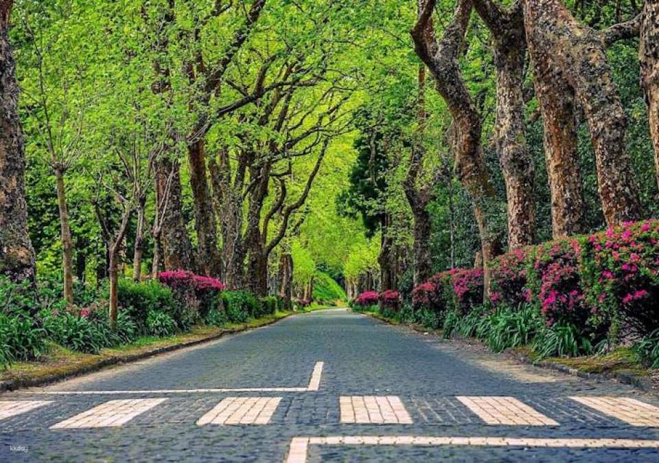 Small Group Tour to Furnas