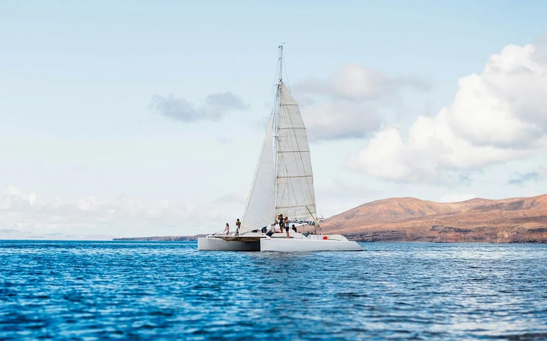 Small Group Whale & Dolphin Watching Cruise Image 10