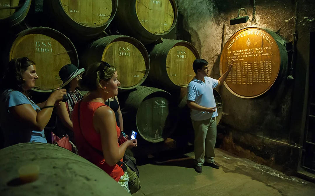 Small Group Wine Tour in Arrábida from Lisbon Image 2