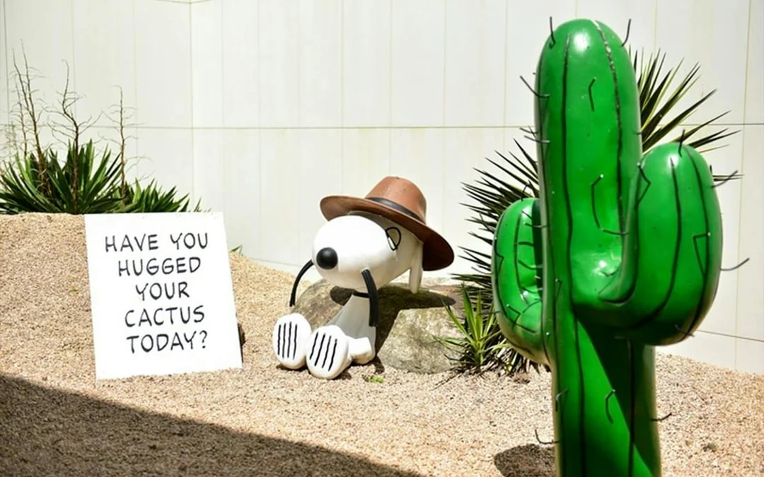 Snoopy Garden Jeju Entry Ticket Image 1