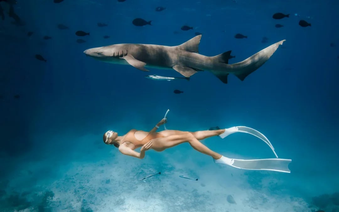 Snorkel with Sharks: Yasawa Island Day Trip With Buffet Lunch & Transfers Image 2