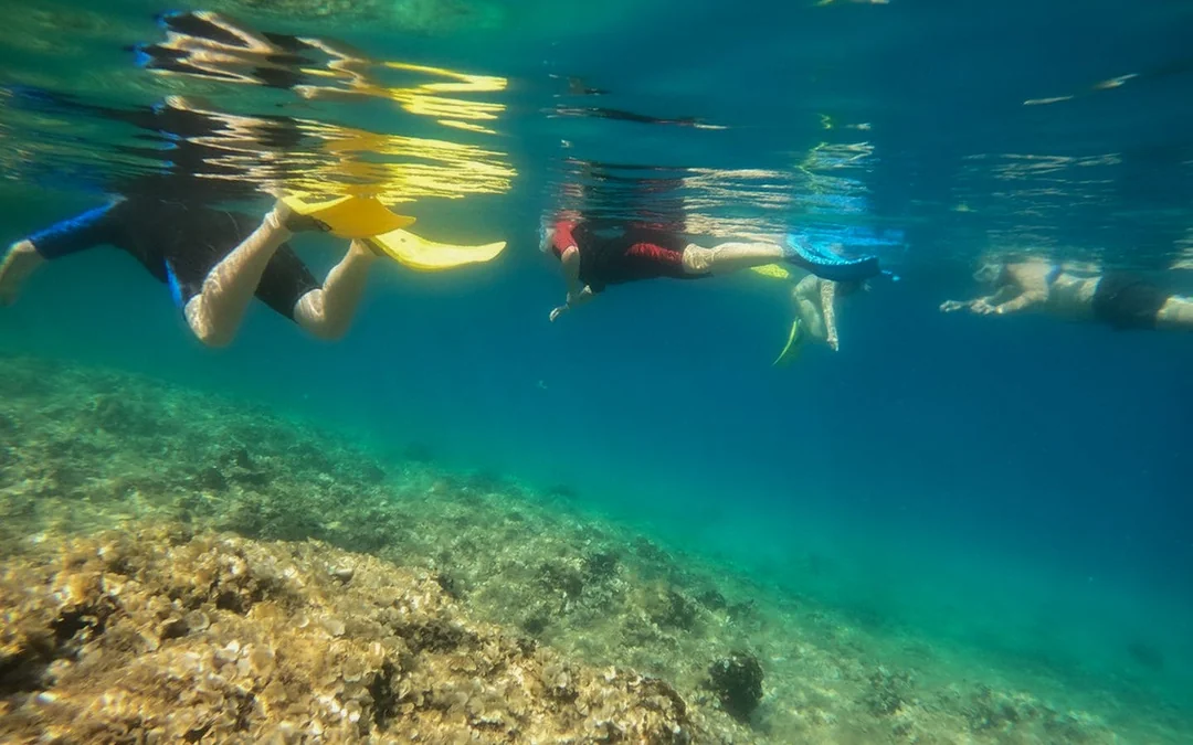 Snorkeling Boat Trips in Nea Makri, Athens Image 4