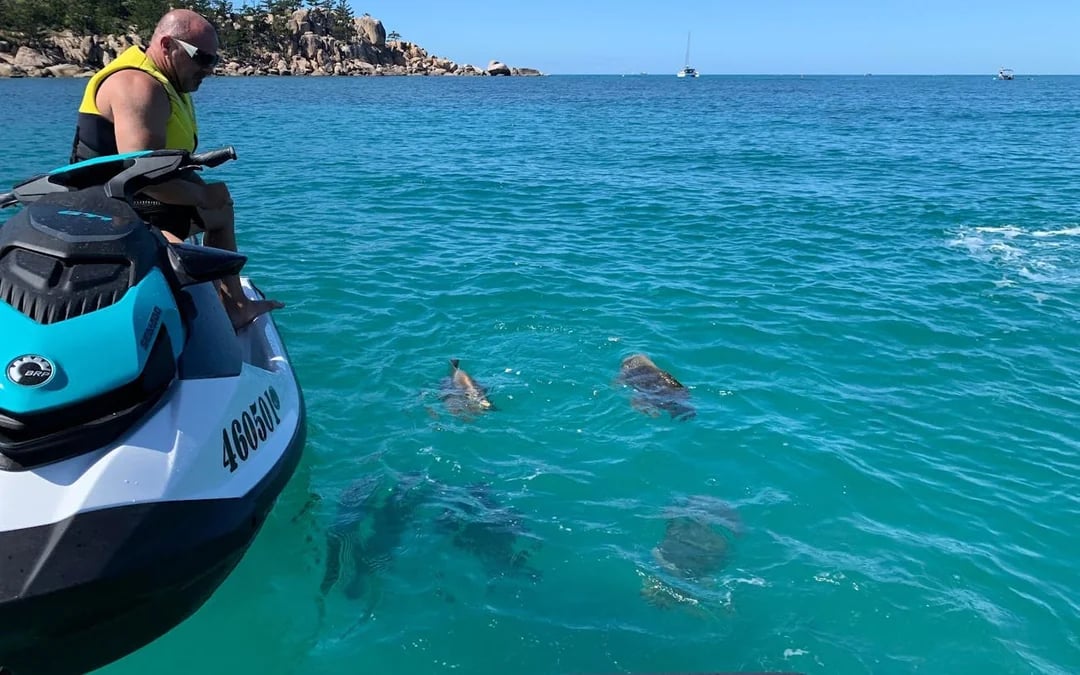 Snorkeling Jet Ski  Tour (2 hours) Image 2