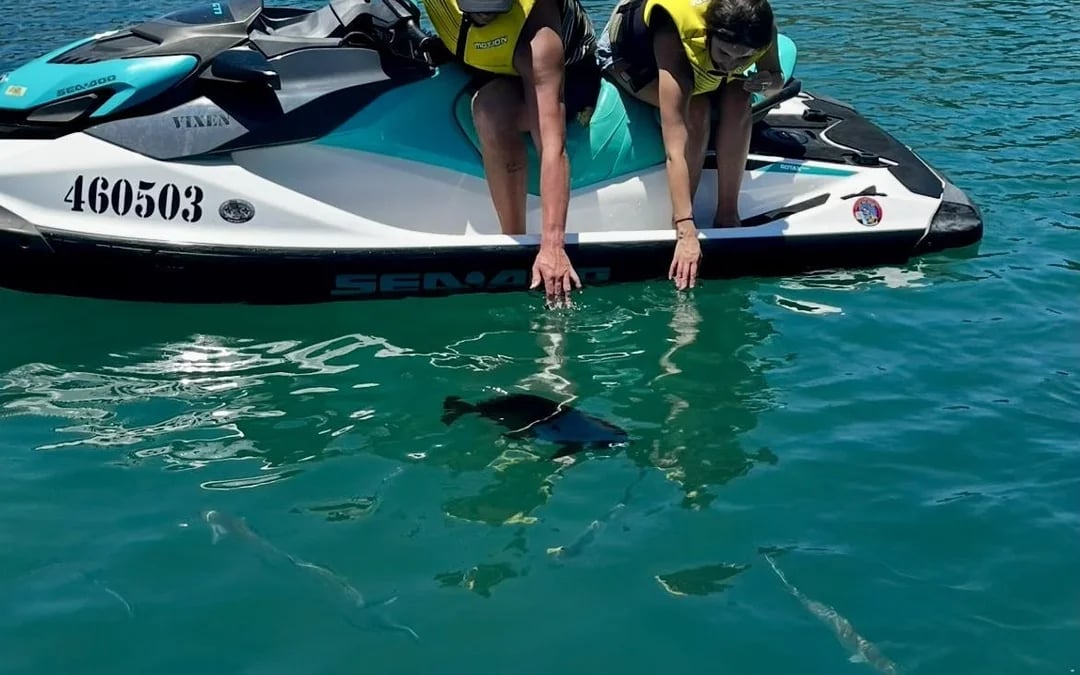 Snorkeling Jet Ski  Tour (2 hours) Image 3