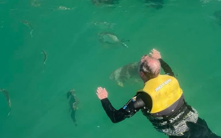 Snorkeling Jet Ski  Tour (2 hours) Image 6