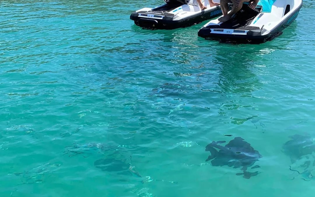 Snorkeling Jet Ski  Tour (2 hours) Image 8