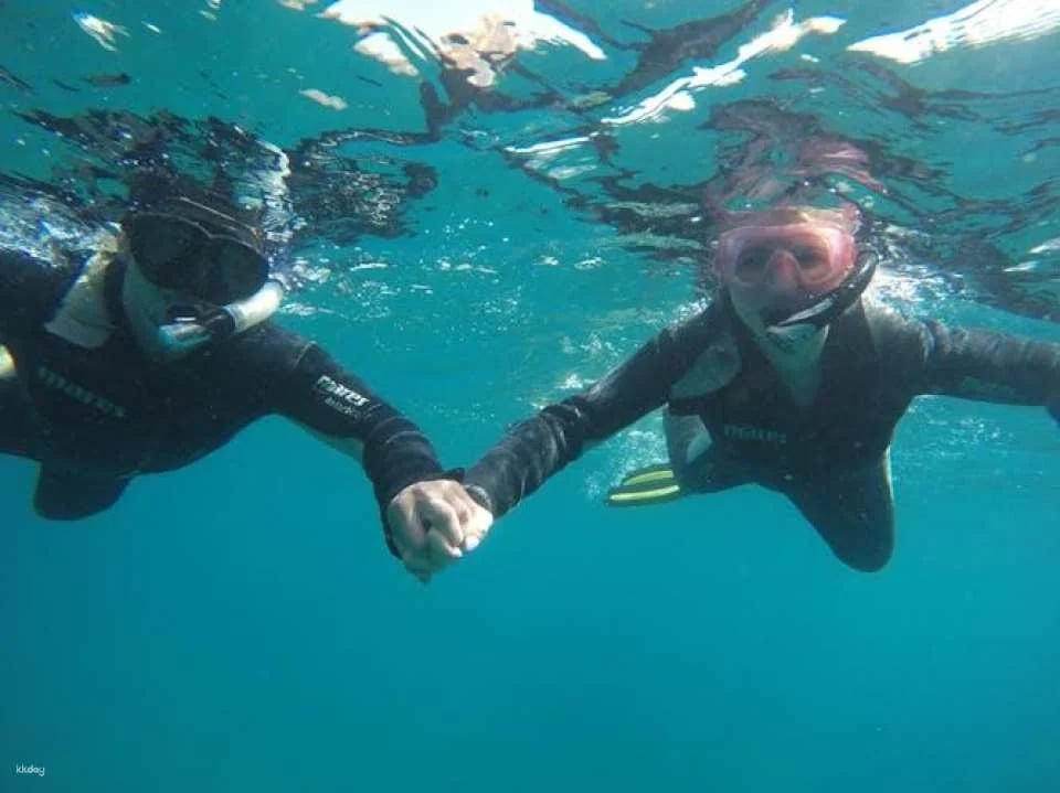 Snorkeling tour in the Bay of Stingrays
