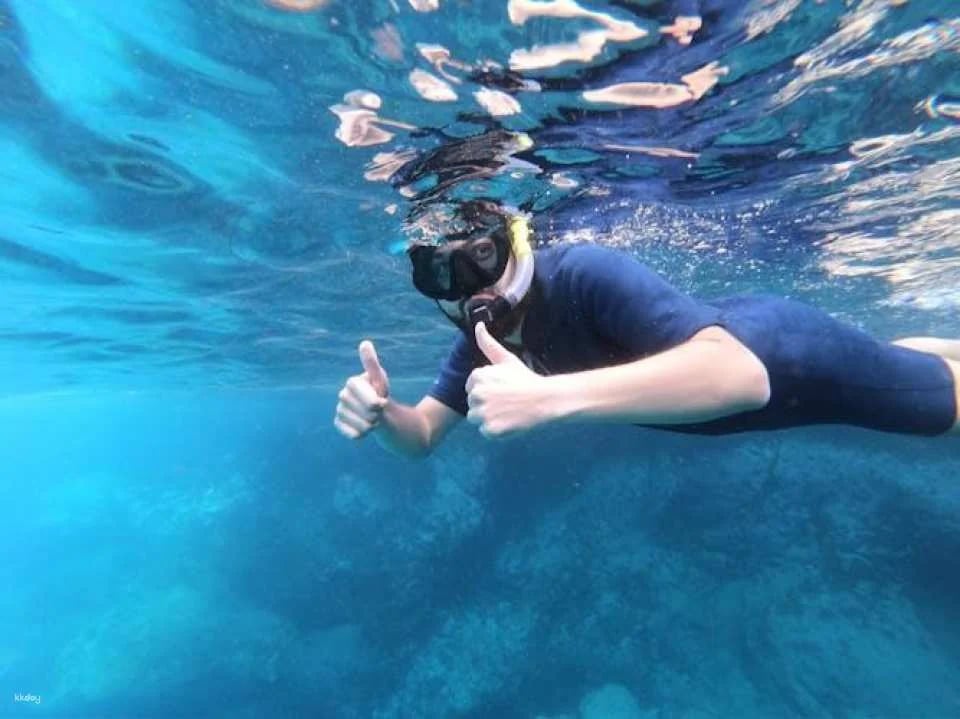 Snorkeling tour in the Bay of Stingrays