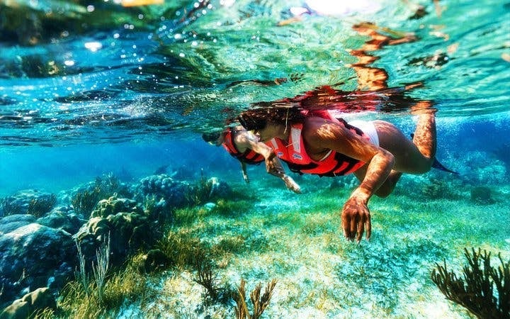 Snorkeling Tour of America’s Largest Reef and Three Private Cenotes with Tequila Tasting and Cultural Performance Image 4
