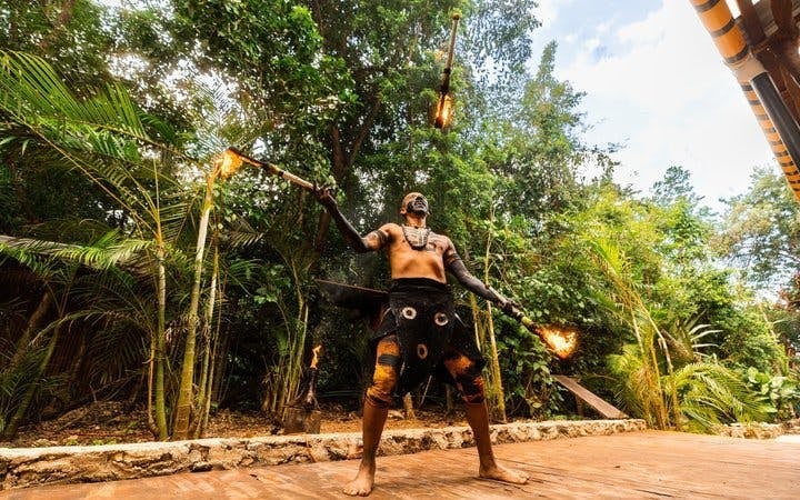 Snorkeling Tour of America’s Largest Reef and Three Private Cenotes with Tequila Tasting and Cultural Performance Image 6