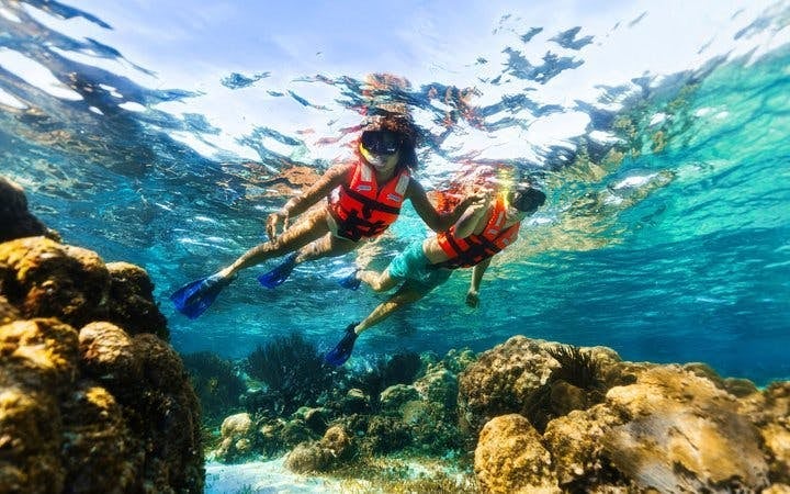 Snorkeling Tour of America’s Largest Reef and Three Private Cenotes with Tequila Tasting and Cultural Performance Image 8