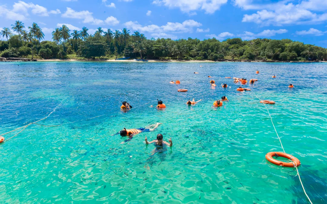 Snorkelling-Only Tour by Speed Boat with Lunch & Transfers Image 12