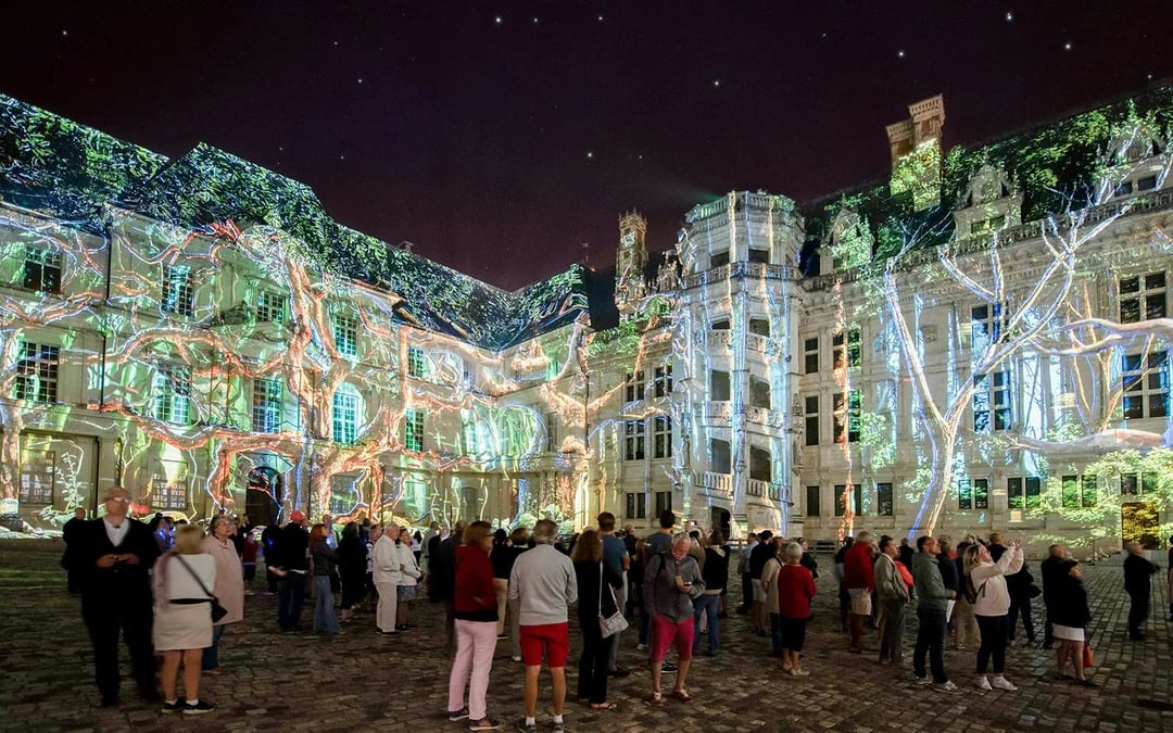 Sound and Light Show at Royal Blois Castle with Skip-the-Line Tickets Image 2