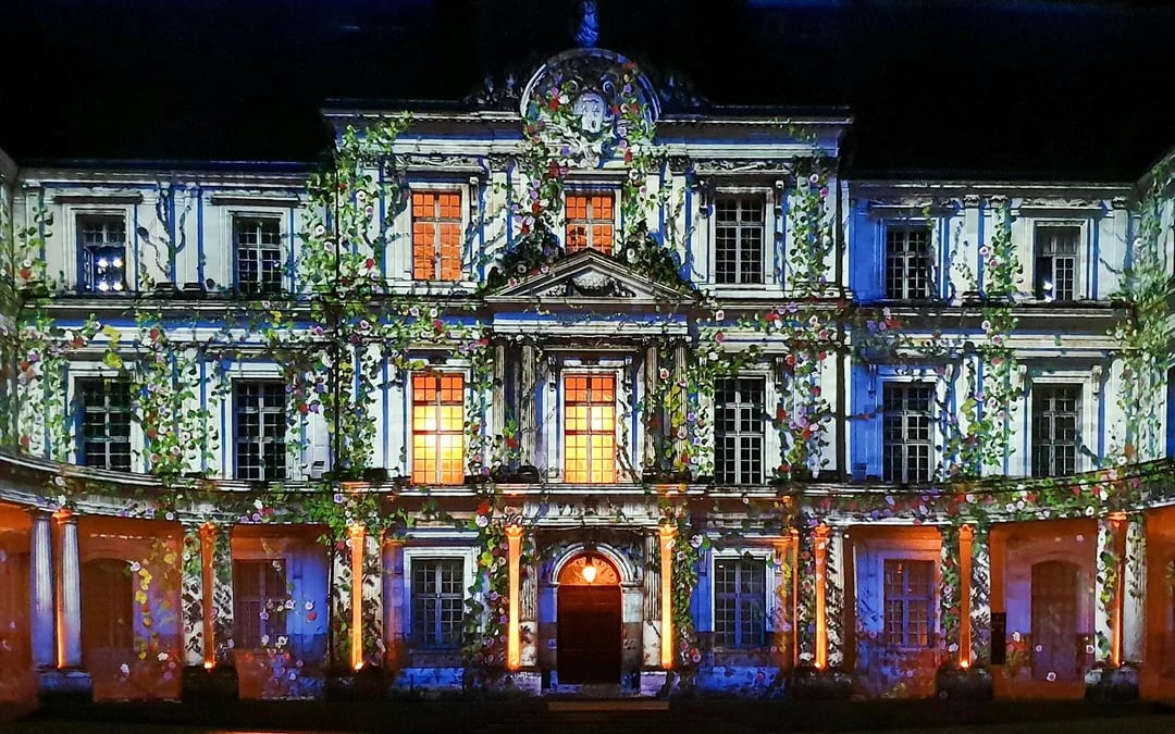 Sound and Light Show at Royal Blois Castle with Skip-the-Line Tickets Image 7