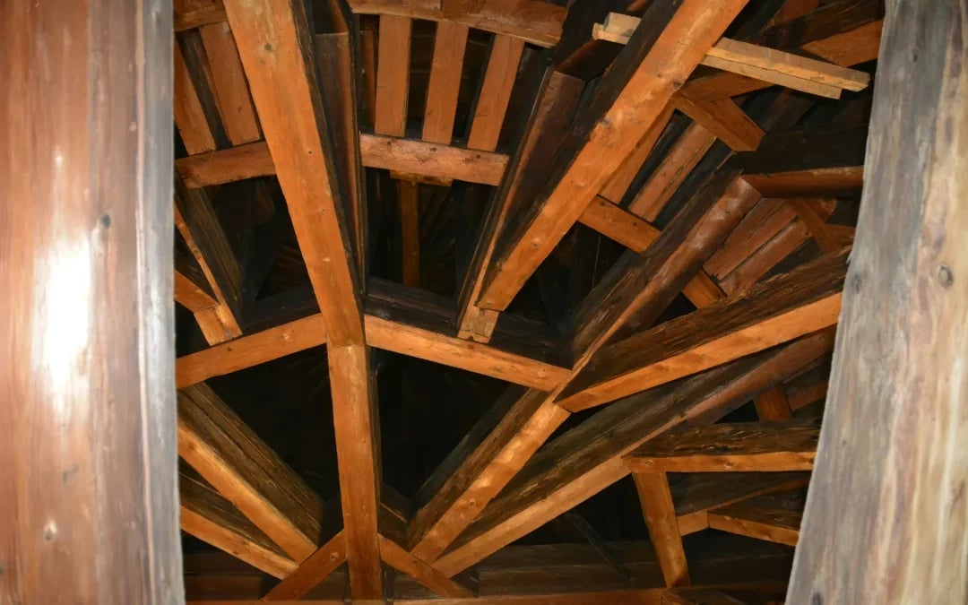 Spanish Riding School Architectural Guided Tour Image 4