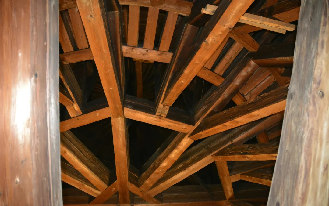 Spanish Riding School Architectural Guided Tour Image 4