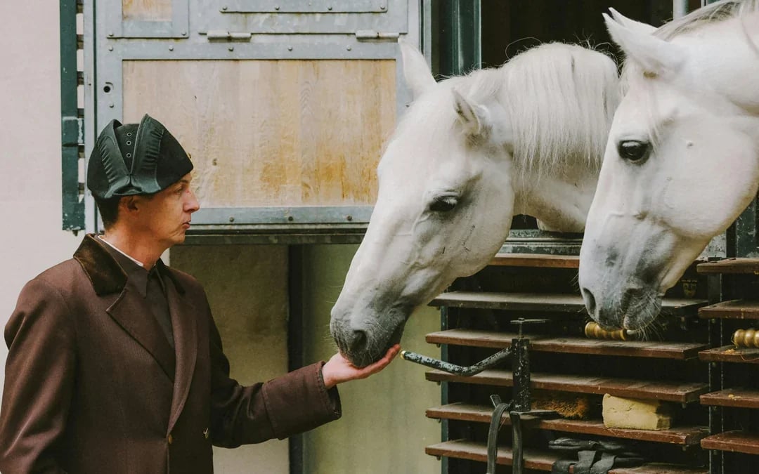 Spanish Riding School Guided Tour Image 1