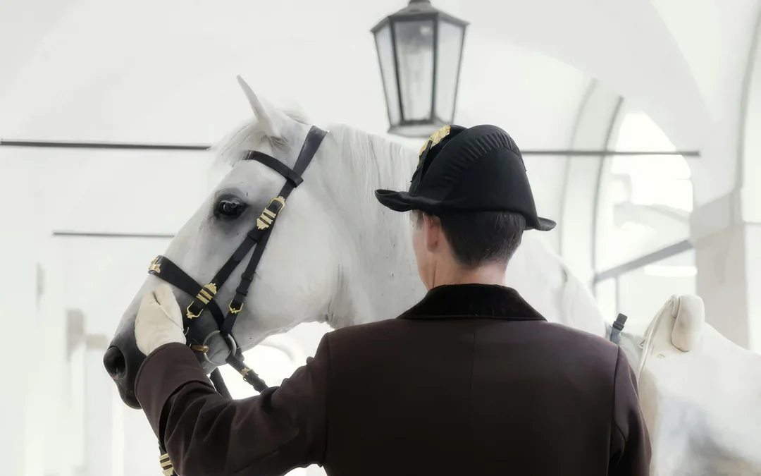 Spanish Riding School Guided Tour Image 4