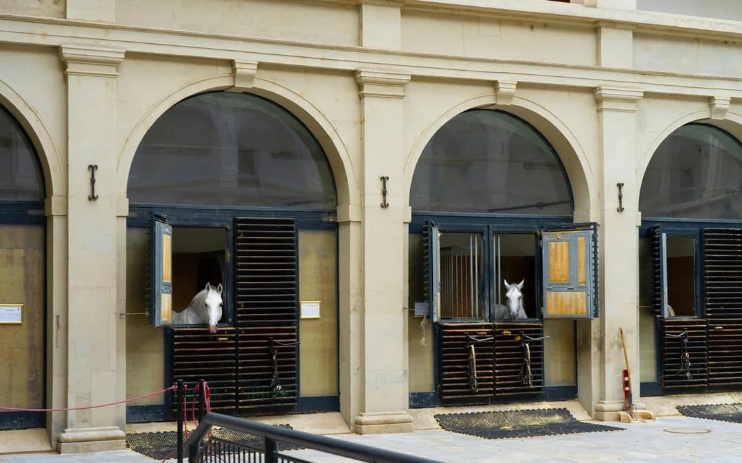 Spanish Riding School Guided Tour Image 6