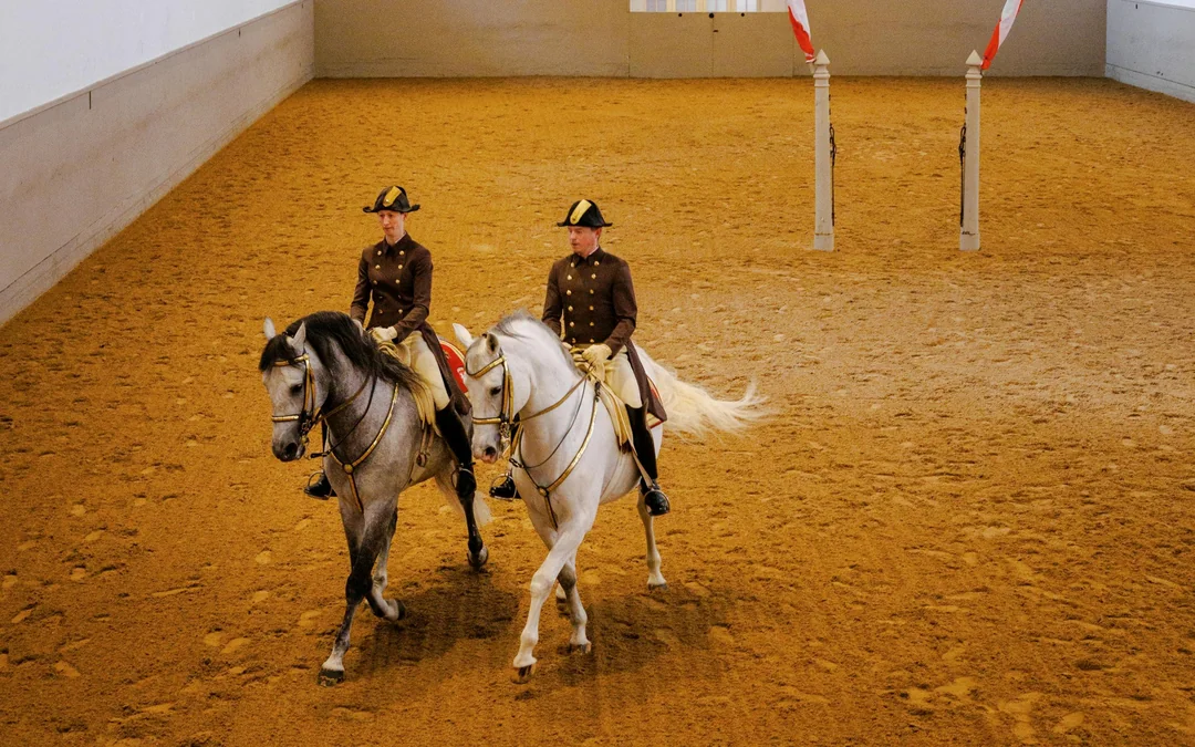 Spanish Riding School Performance Show (45 min) Image 2