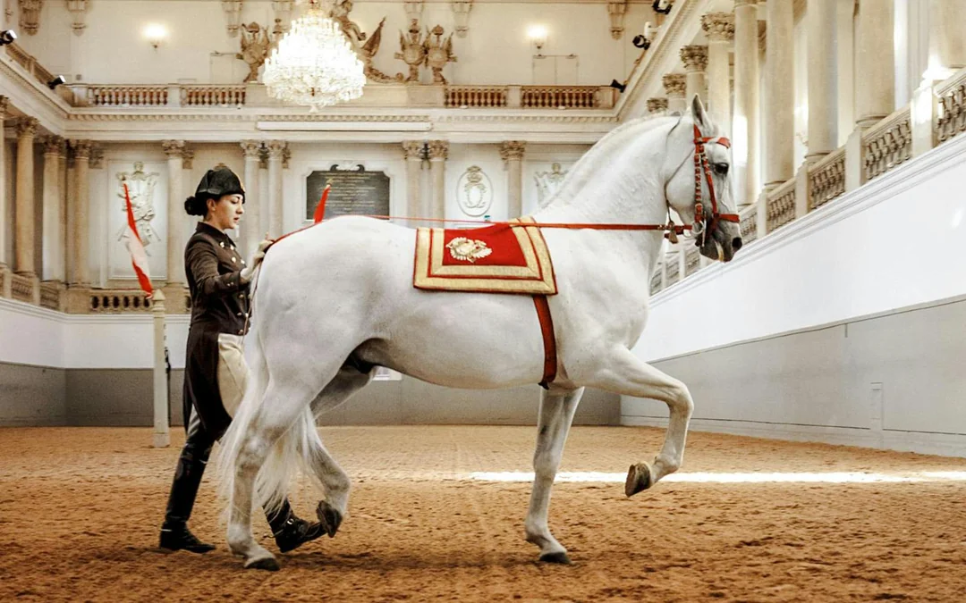 Spanish Riding School Performance Show (45 min) Image 3