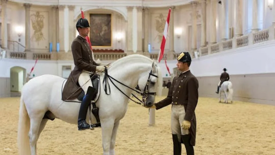 Spanish Riding School Vienna Training