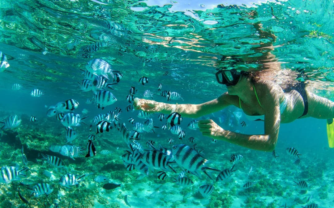 Speedboat trip to Ile aux cerfs with Private Island Lunch Image 3