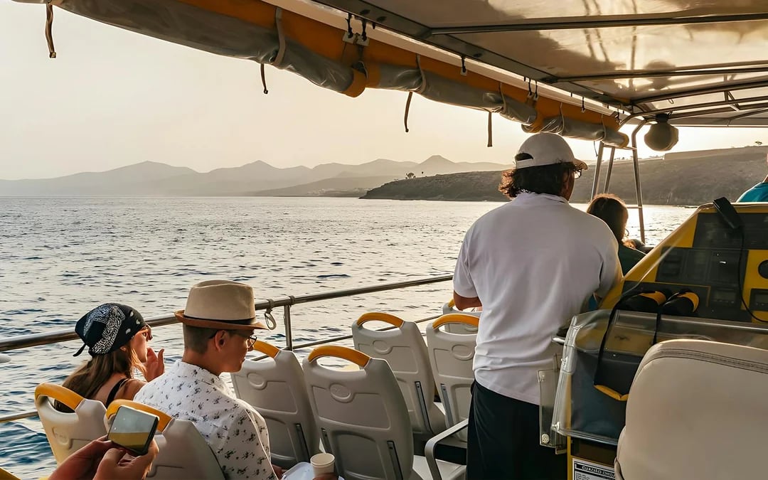 Speedboat Whale & Dolphin Watching Cruise with Sunset & Transfers Image 9