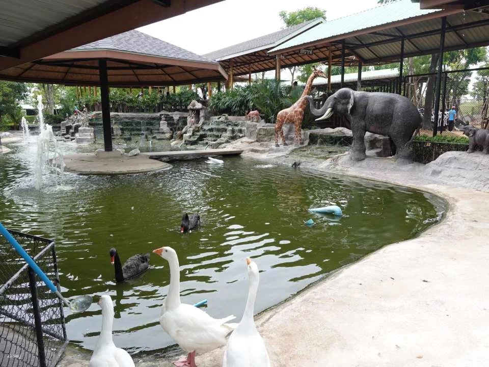 Thailand | Sriayuthaya Lion Park Ayutthaya Zoo | Tickets & Jeep Giraffe Photo Experience