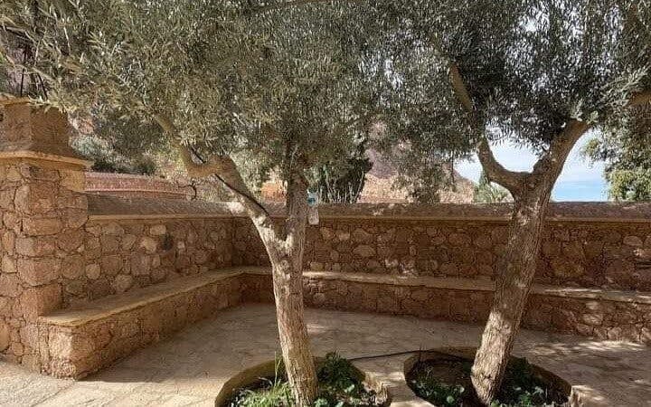 St.Catherine’s Monastery and Dahab City Tour From Sharm El S Image 6
