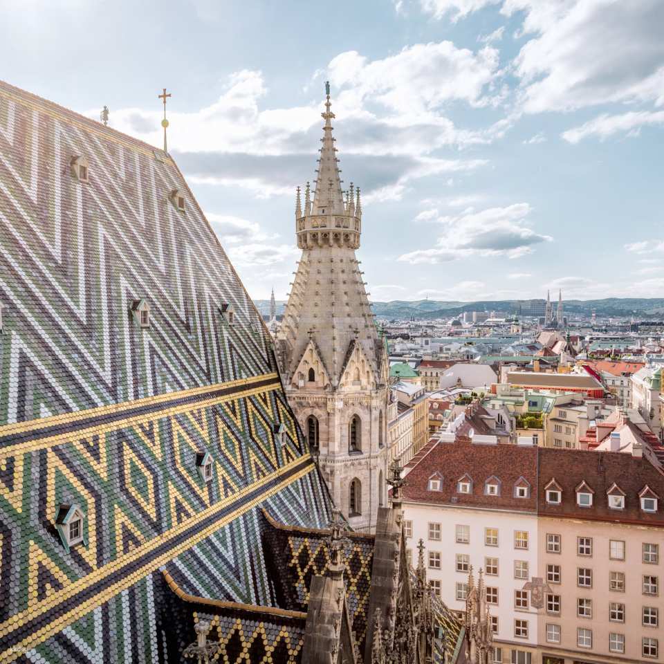 St. Stephen Cathedral & Dom Museum Wien Ticket