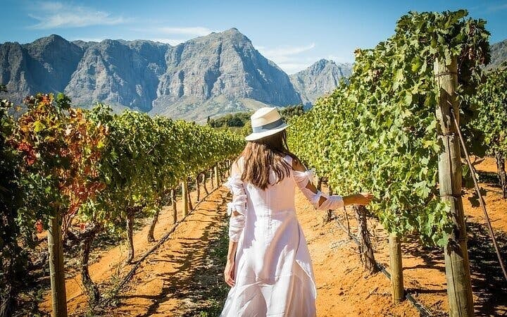 Stellenbosch and Franschhoek Private Wine Tour with Tastings and Lunch Image 5