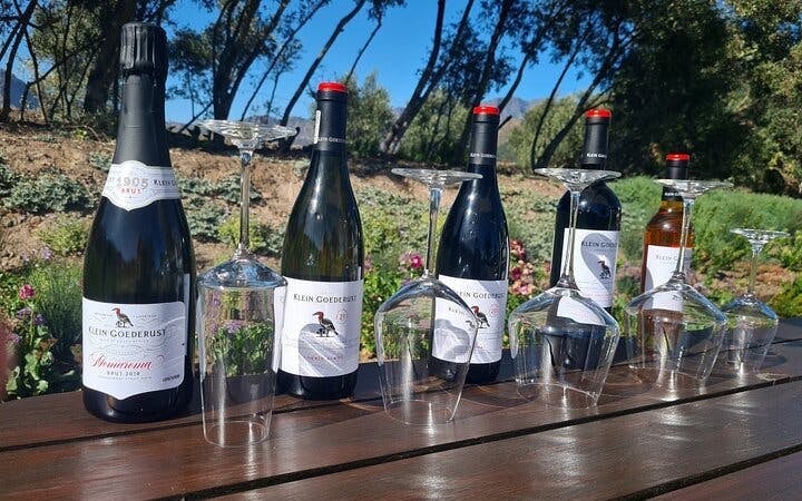 Stellenbosch and Franschhoek Private Wine Tour with Tastings and Lunch Image 7