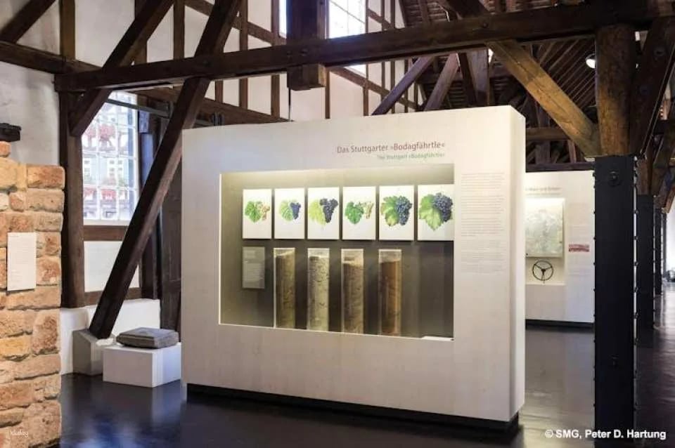 Stuttgart wine museum entrance ticket