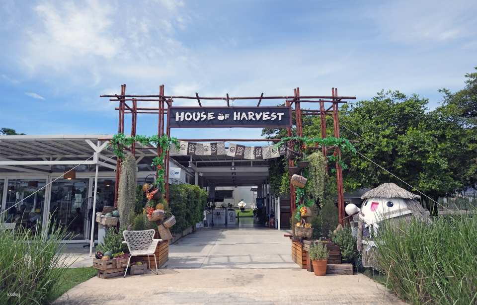 Suan Phueng Private Day Private Charter with Tour Guide Option | Bangkok, Thailand