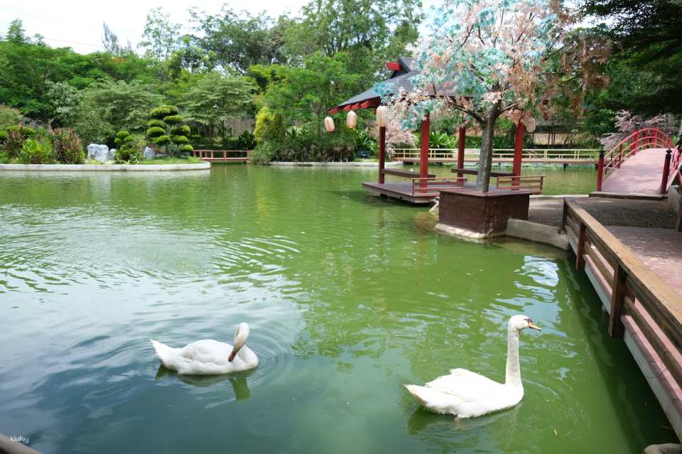 Suan Phueng Private Day Private Charter with Tour Guide Option | Bangkok, Thailand