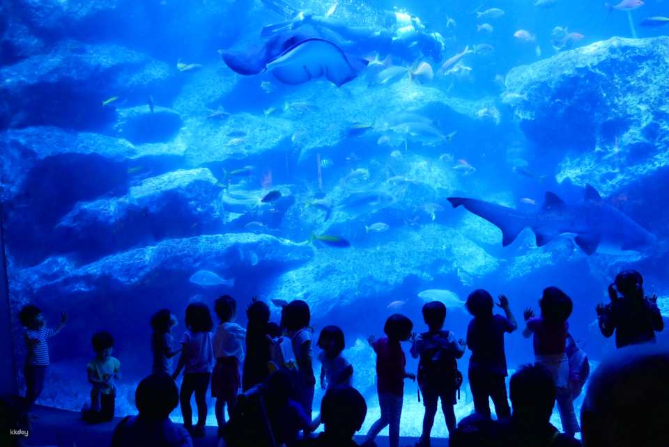 Sumida Aquarium Tickets in Tokyo, Japan