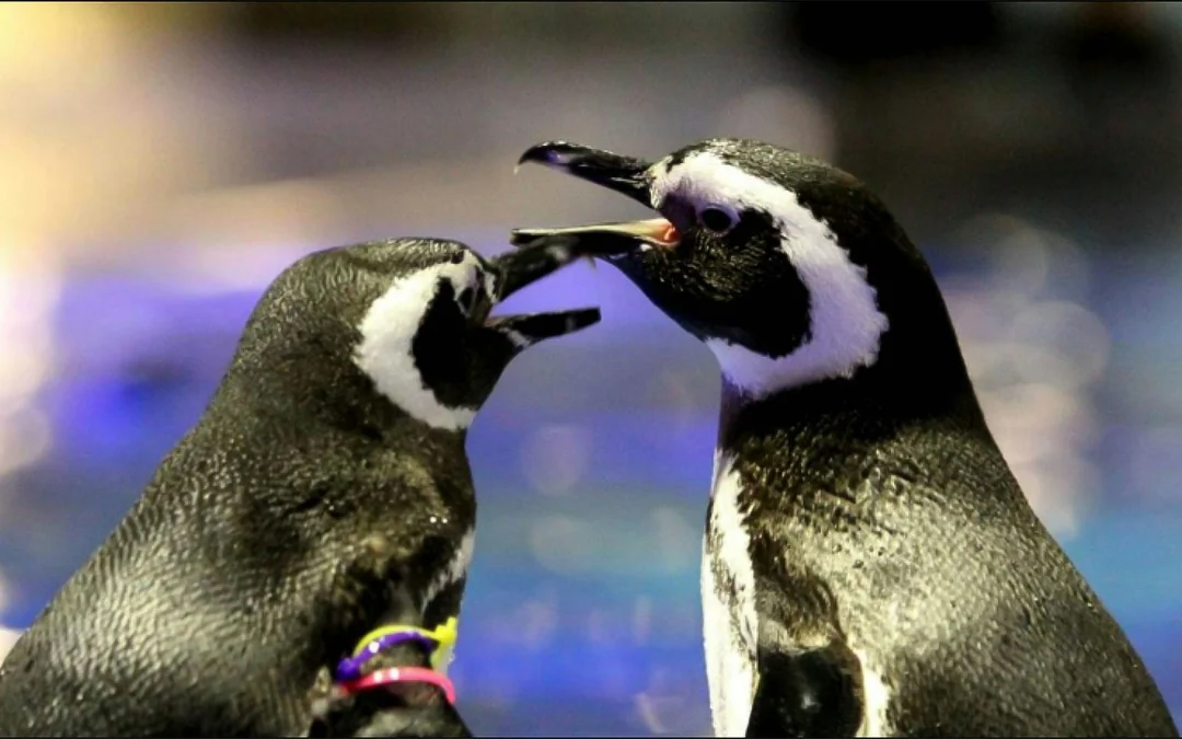 Sumida Aquarium Tickets Image 3