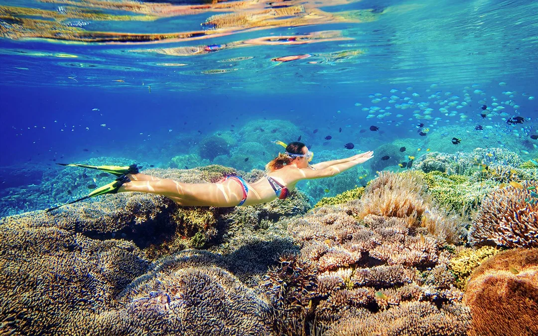 Sunlover: Cairns to Fitzroy Island Full-Day Cruise with Snorkel, Glass Bottom Boat Tour & Lunch Image 2