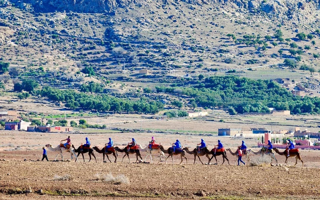 Sunrise Desert Tour with Breakfast & Camel Ride Image 2