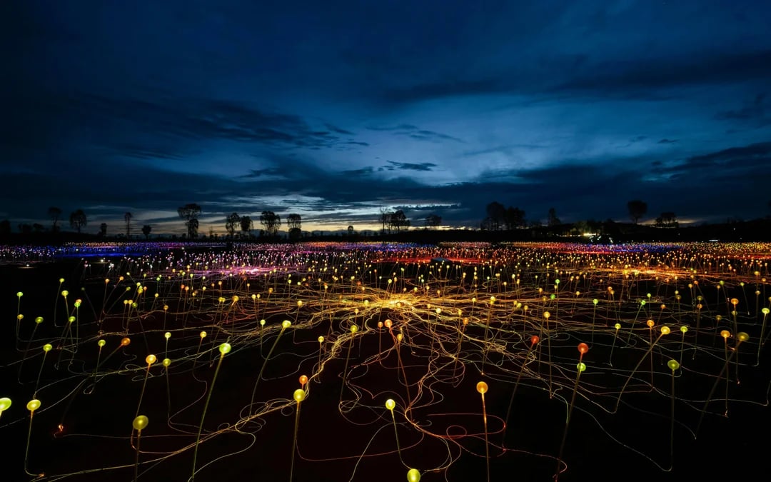 Sunrise Field of Light at Uluru with Beverages Image 2