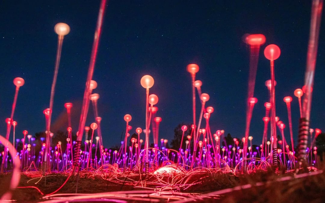 Sunrise Field of Light at Uluru with Beverages Image 3