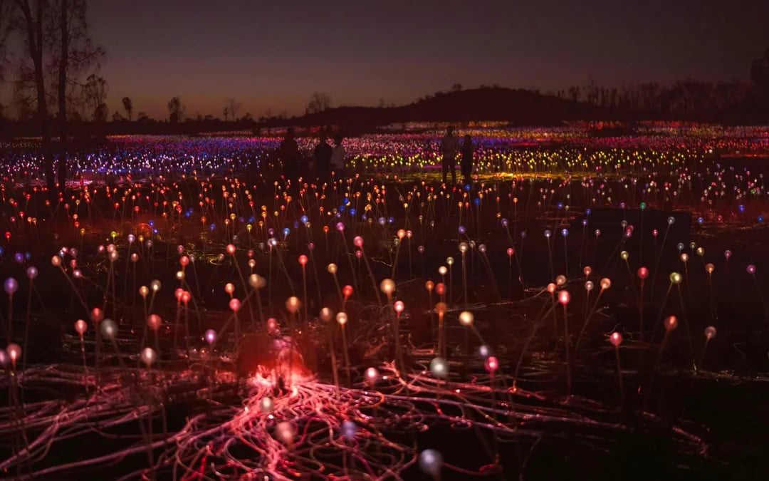 Sunrise Field of Light at Uluru with Beverages Image 6